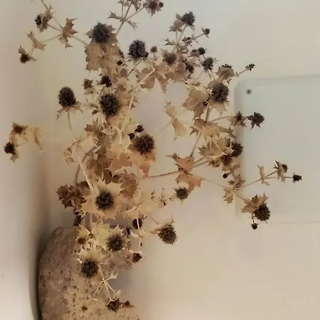 شقة Terratetto 9 *